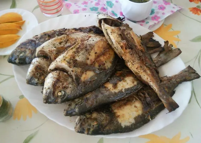 Appartement Caganic Bledi Vir