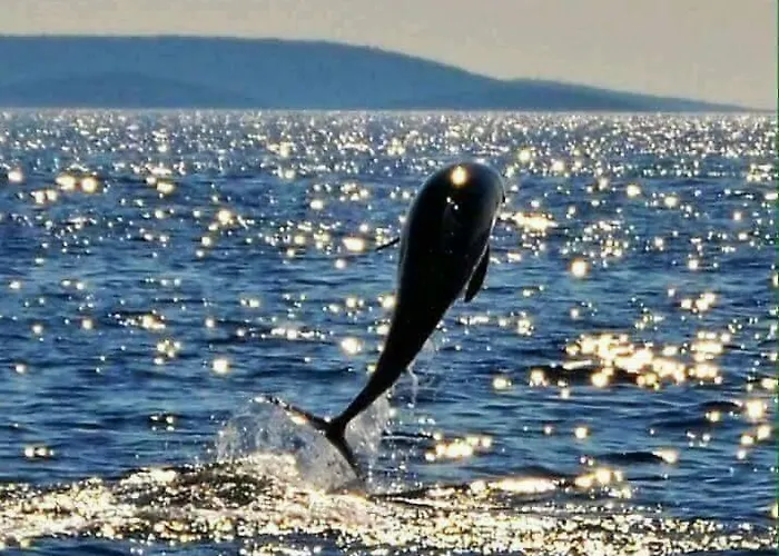 Caganic Bledi Appartement *