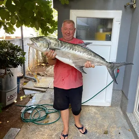 Apartmán Caganic Bledi *