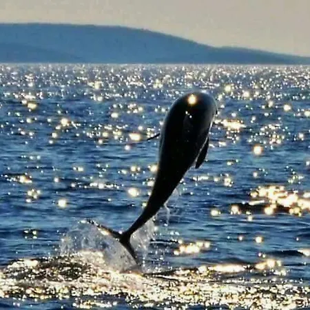 Caganic Bledi Apartamento *