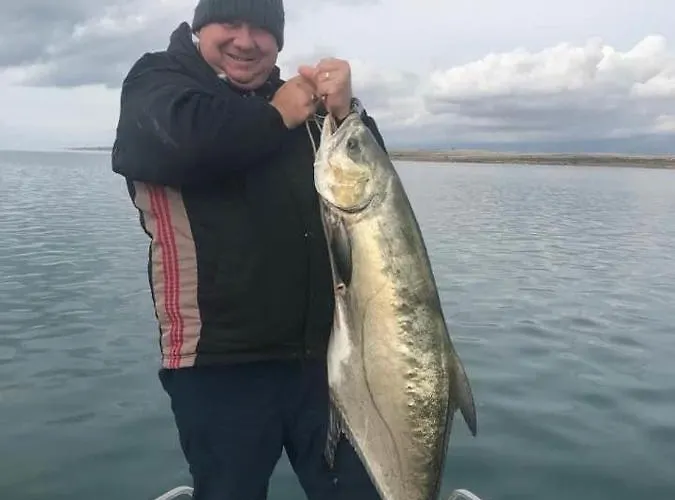 Caganic Bledi * 비르