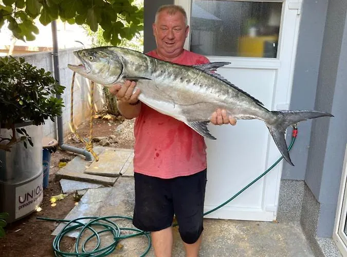 아파트 Caganic Bledi *