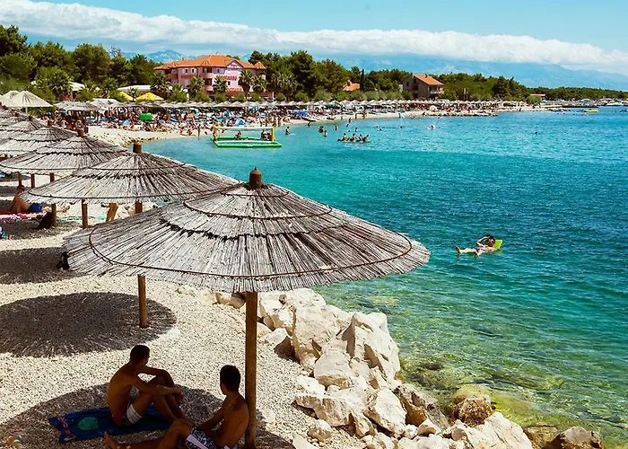 Caganic Bledi * 비르