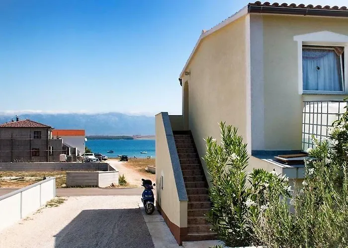 Caganic Bledi 비르