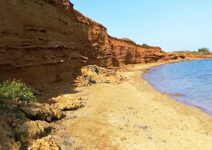 Caganic Bledi 비르